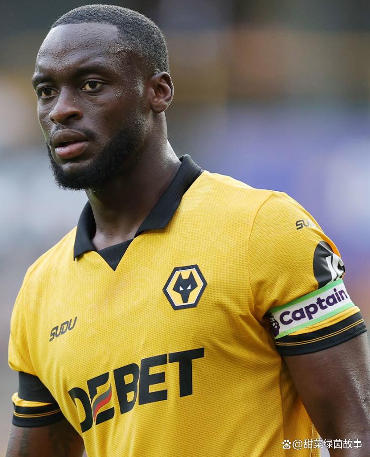 纽卡斯尔联与布伦特福德的对决