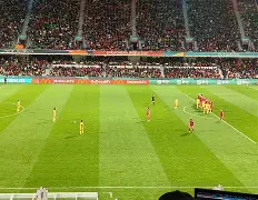 丹麦对芬兰队员受伤