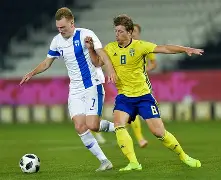 丹麦对芬兰队员受伤